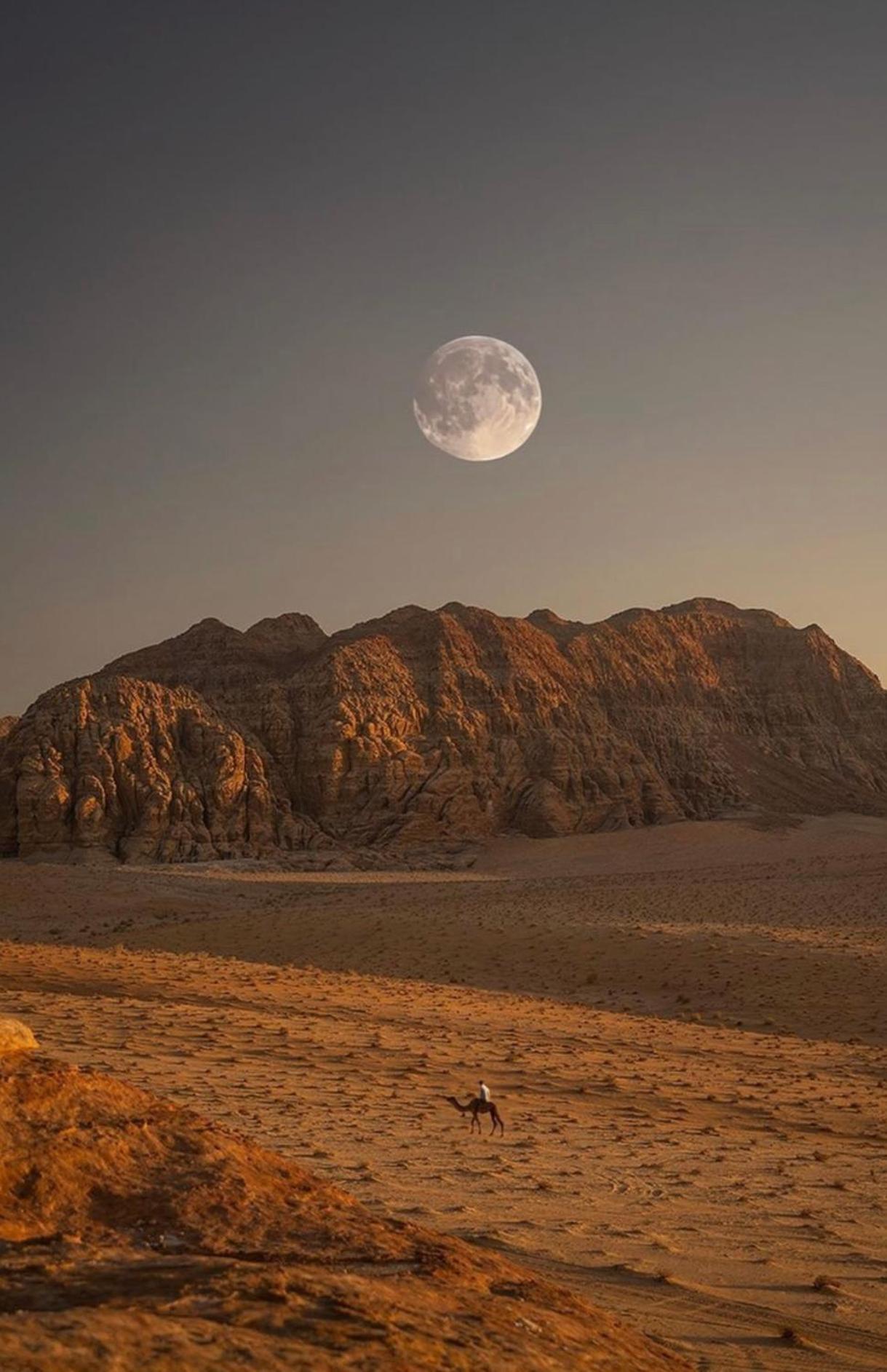 Zeid wadirum Wadi Rum Exterior foto
