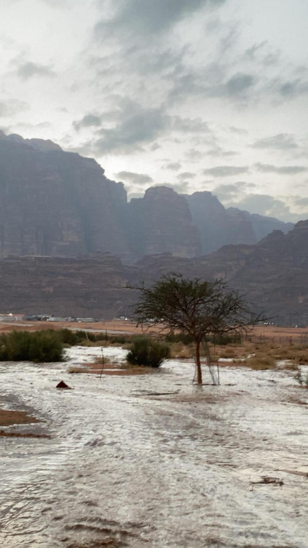 Zeid wadirum Wadi Rum Exterior foto