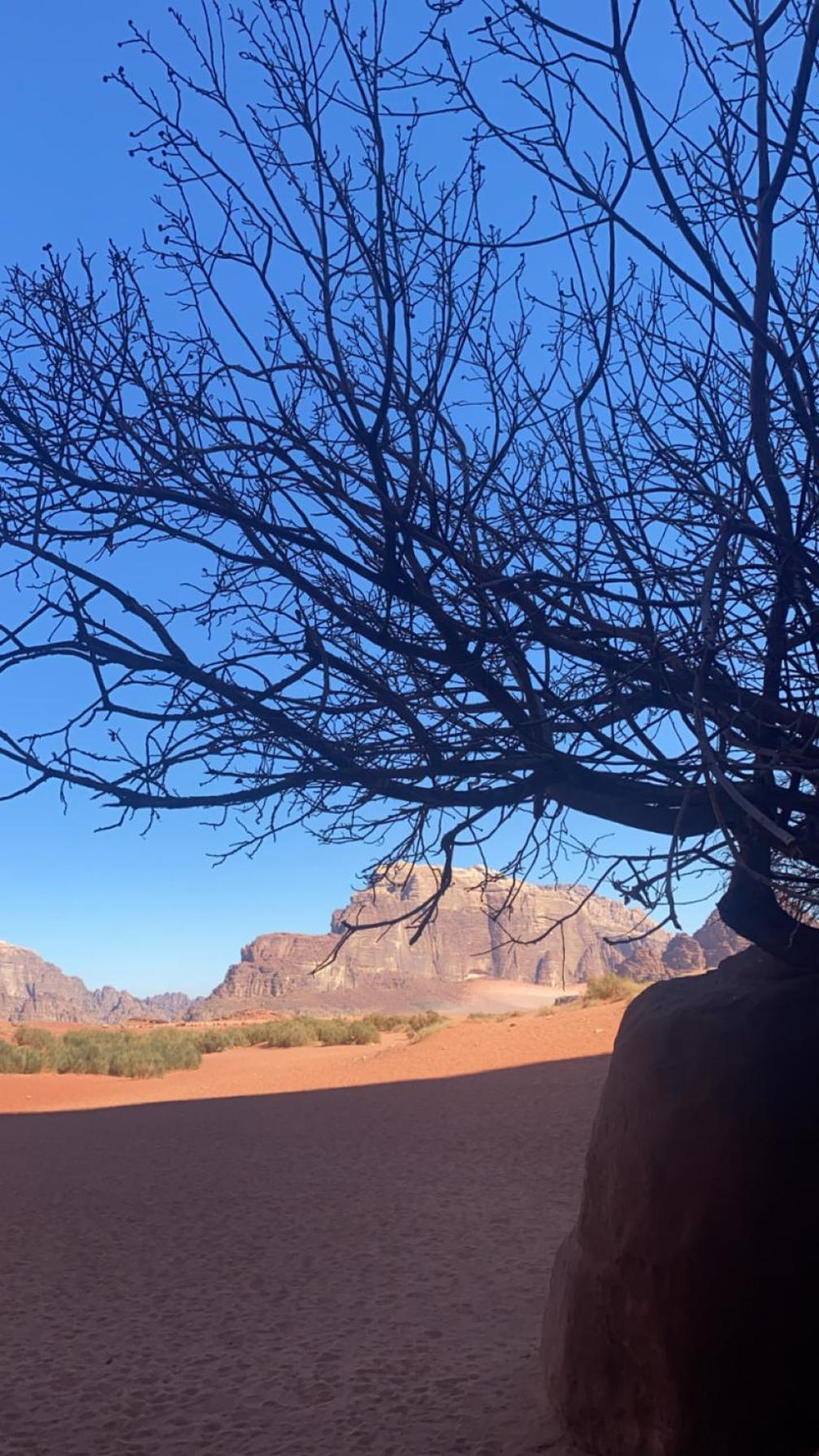 Zeid wadirum Wadi Rum Exterior foto